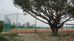 中正河濱公園&nbsp;&nbsp;壘球場_1