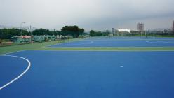 華中河濱公園  五人制足球場_7