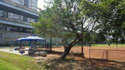 溪洲[福和]河濱公園  壘球場 _11