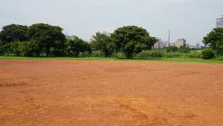 溪洲[福和]河濱公園  壘球場 _24