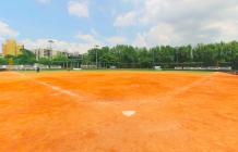 青年公園運動園區  棒球場_1