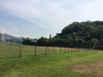 道南河濱公園&nbsp;&nbsp;壘球場A_1