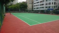 碧湖公園  網球場_1