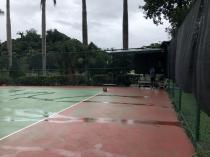 碧湖公園  網球場_6