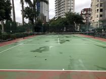 碧湖公園  網球場_7