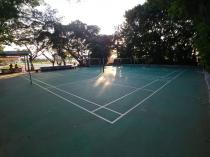 延平河濱公園&nbsp;&nbsp;羽球場_3