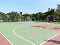 南港公園  籃球場_3