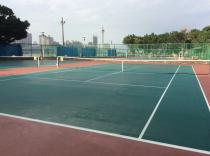 延平河濱公園  網球場_2