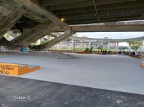 龍山河濱公園&nbsp;&nbsp;極限運動場_1