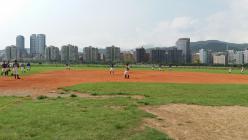 迎風河濱公園(棒壘球場)&nbsp;&nbsp;軟式棒球場_2