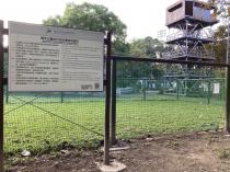 青年公園運動園區&nbsp;&nbsp;幼兒足球場_2