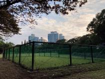 青年公園運動園區&nbsp;&nbsp;幼兒足球場_3