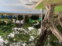青年公園運動園區&nbsp;&nbsp;溜冰場_5