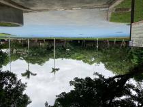 青年公園運動園區&nbsp;&nbsp;溜冰場_6