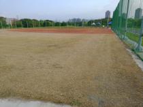 華中河濱公園&nbsp;&nbsp;華中少棒場_3