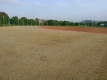 華中河濱公園&nbsp;&nbsp;華中少棒場_4