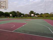 華中河濱公園  籃球場_16