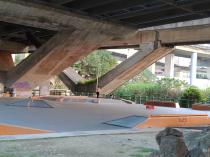 龍山河濱公園&nbsp;&nbsp;極限運動場_5